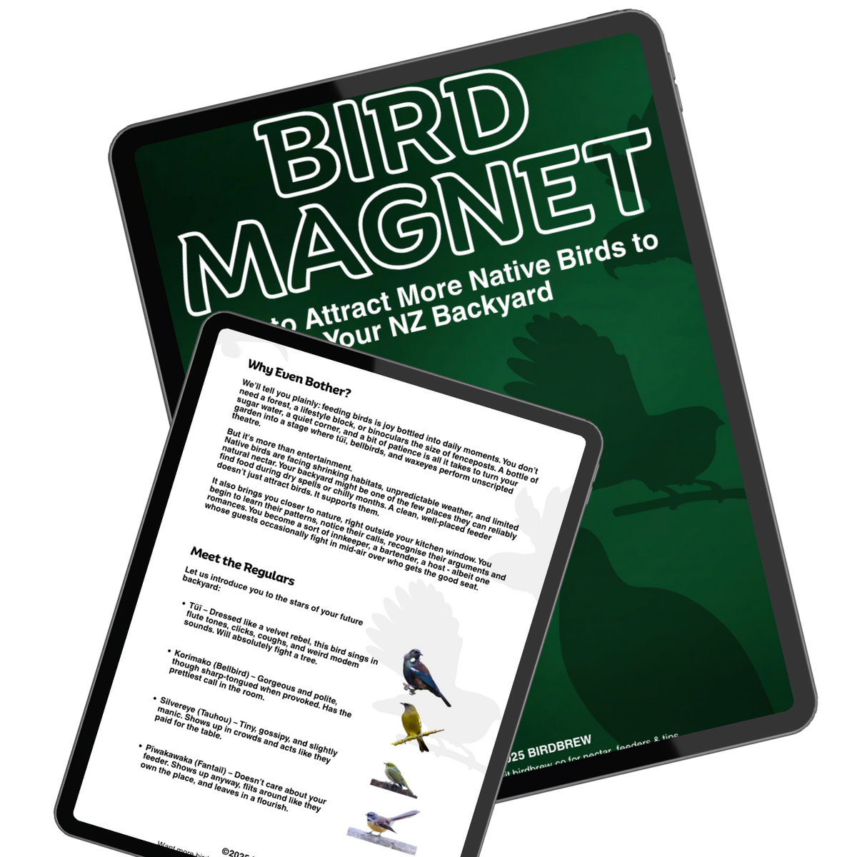 Bird Magnet eBook