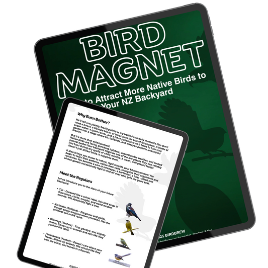 Bird Magnet eBook