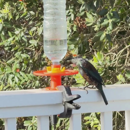 Bird Nectar Mix